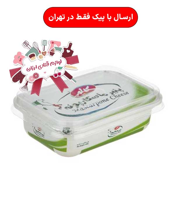 پنیر ماسکارپونه 200گرمی